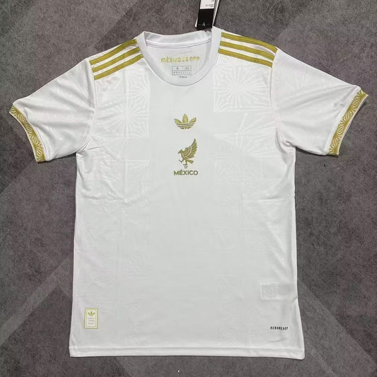 Maillot Football Mexique Concept