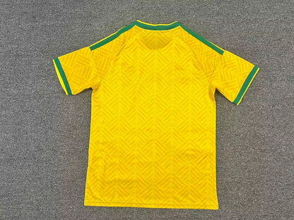 Mailot de foot Afrique du Sud CDM
